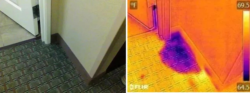 detect moisture in houses-1.jpg