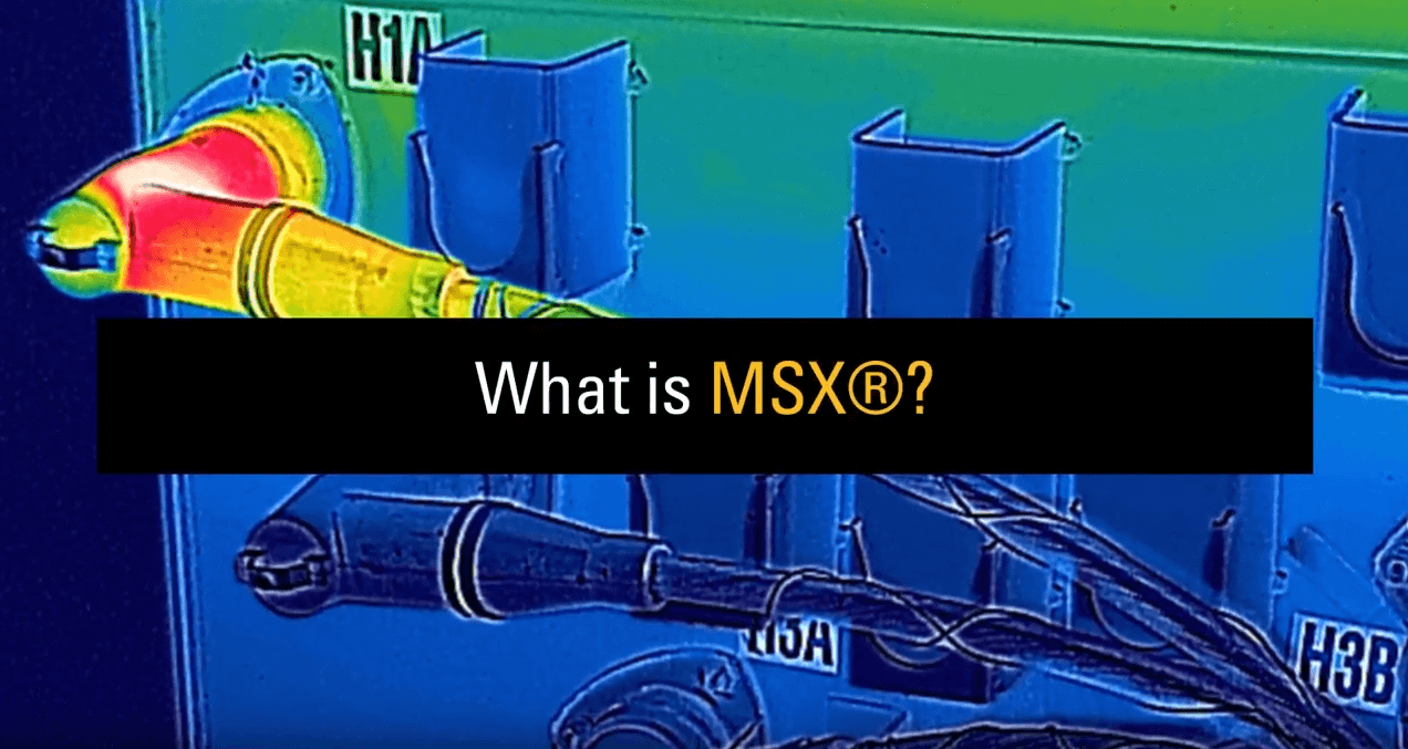 什么是FLIR MSX®技术？